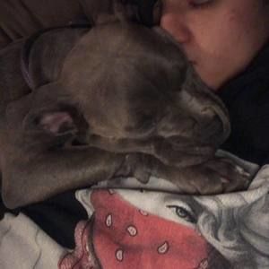 Meet your Posher, Gage